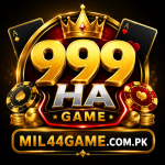 999HA Game